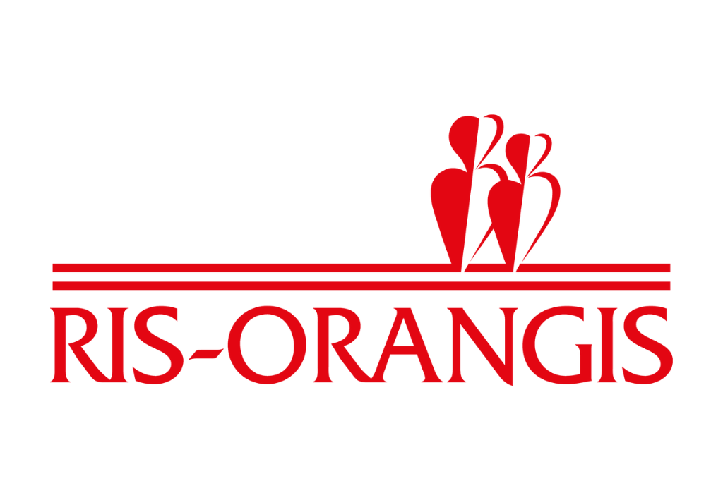 https://rapport-activite-2024.ville-et-banlieue.org/wp-content/uploads/2024/02/ris-orangis.png